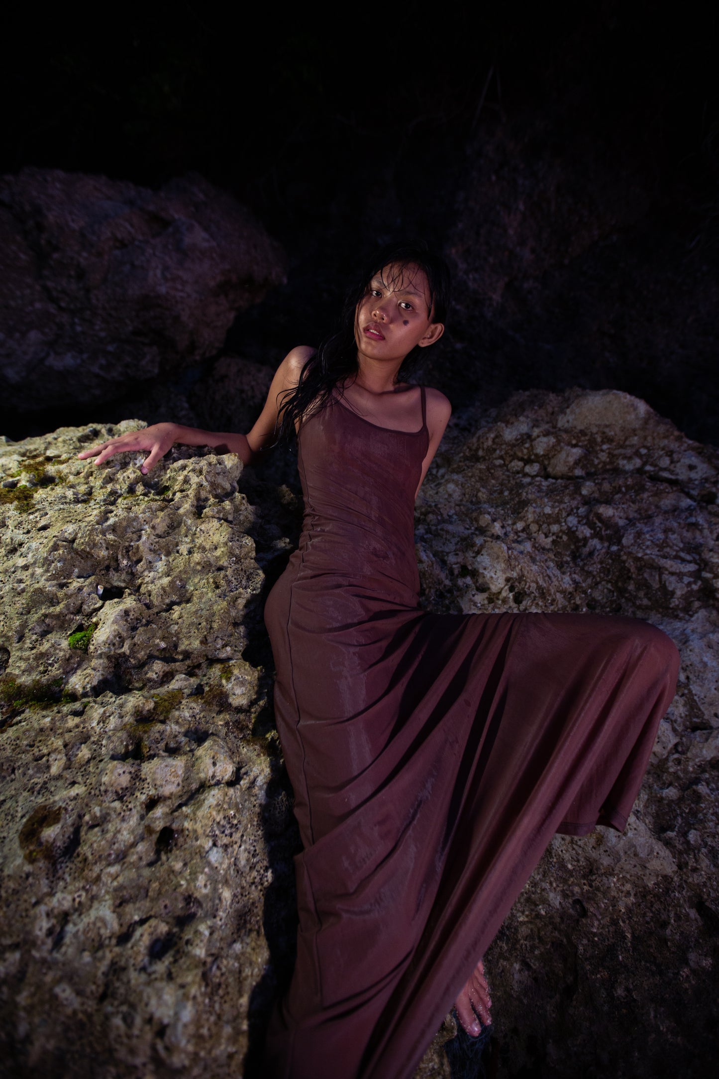 Taly Dress Chico