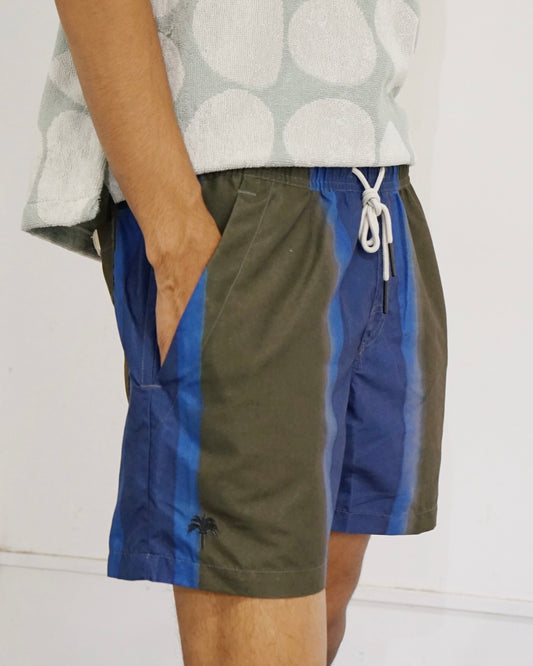 Murky Mist Swim Shorts