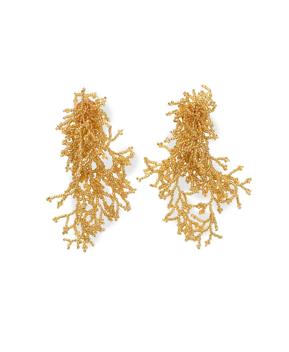 Coral Earrings