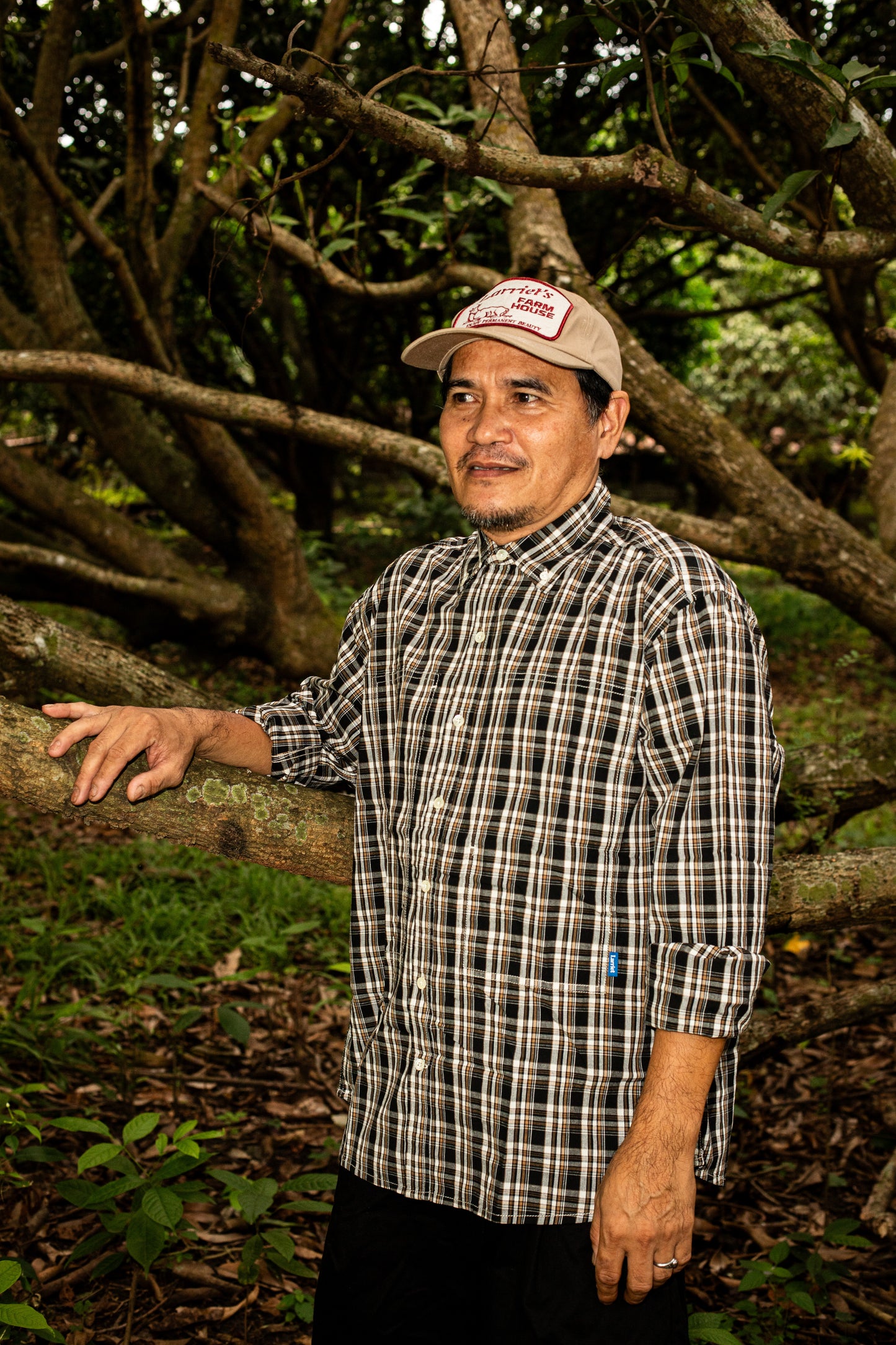 Grant Shirt Black Plaid